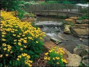 Arboretum, Kwiaty, Kirtland, Ohio, Holden