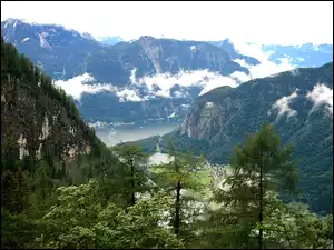 Austria, Jezioro, Drzewa, Góry, Dachstein