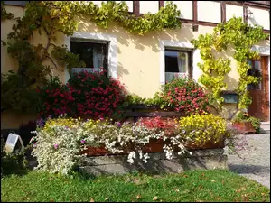 Ogród, Dom, Kwiaty, Zieleń