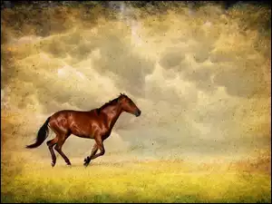 Biegnący, Koń