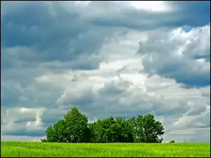 Chmury, Łąka, Drzewa
