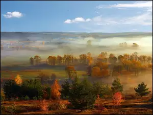 Jesień, Pola, Mgła, Drzewa, Panorama
