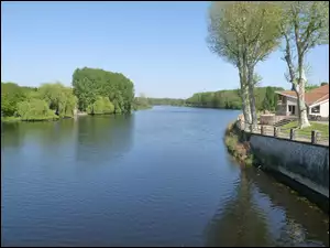 Rzeka, Francja, Drzewa, Vienne