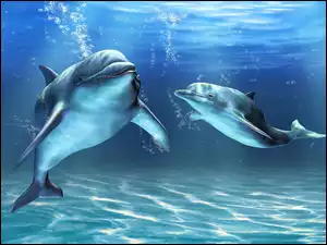 Głębiny, Delfiny, Morskie, Dwa