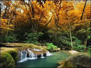 Jesień, Wodospad, Drzewa, Mały