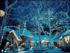 Domy, Narodzenie, Drzewa, Boże