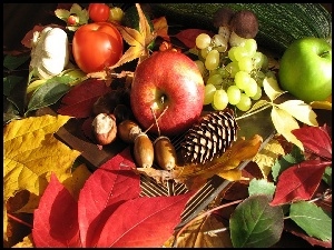 Liście, Owoce, Jesieni