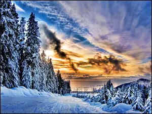 Śnieg, Zachód Słońca, Drzewa
