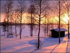 Zachód Słońca, Drzewa, Śnieg