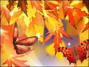 Motyle, Czerwono, Liście, Żółte, Jesień