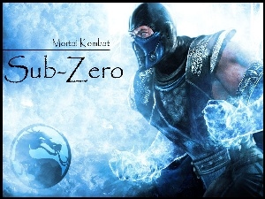 Mortal Kombat, Sub-Zero