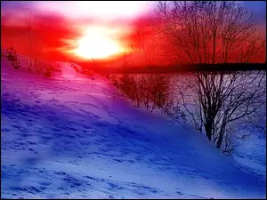 Zima, Zachody Słońca, Niebo, Kolorowe, Drzewo
