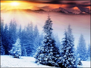 Zima, Góry, Słońca, Promienie, Świerki
