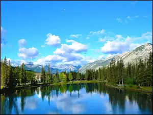 Kanada, Rzeka, Drzewa, Góry, Alberta