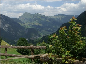 Au Vorarlberg, Rośliny, Austria, Zagroda