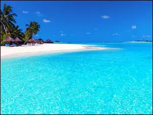 Morze, Malediwy, Plaża, Palmy