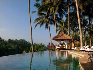 Hotel, Basen, Bali, Palmy, Dżungla, Viceroy