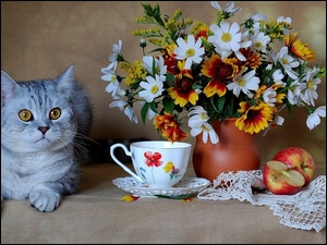 Jabłko, Kot, Wazon, Kwiaty, Filiżanka