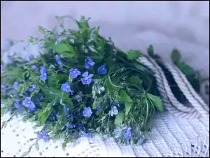 Bukiet, Niebieskie, Kwiatuszki