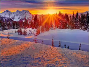 Zima, Góry, Zachód, Drzewa, Słońca