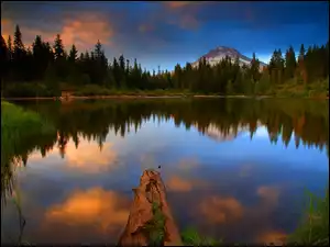 Las, Yosemite, Jezioro, Kalifornia, Mirror, Odbicie