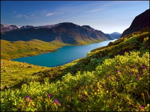 Norwegia, Jezioro, Góra, Besseggen