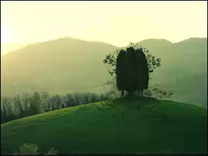 Słońce, Góry, Drzewo