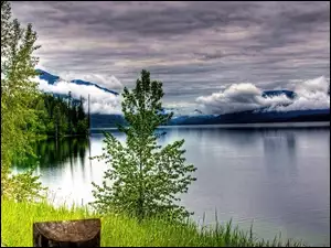 Drzewa, Jezioro, Chmury