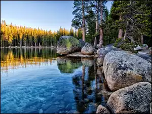 Las, Kalifornia, Jezioro Tenaya, Yosemite Park Narodowy