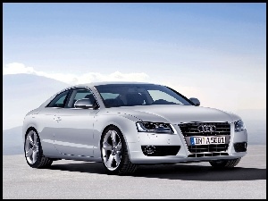 Audi A5, Halogeny