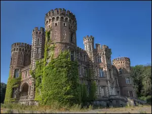 Chateau De La Foret, Winorośl, Belgia, Zamek