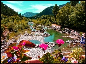 Rzeka, Kwiatki, Góry, Las