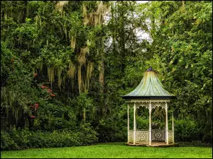 Ogród Botaniczny, Altana, Południowa Karolina, Drzewa