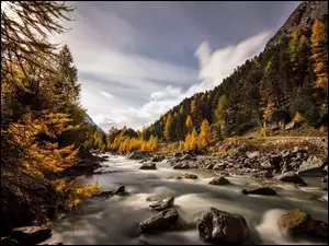 Rzeka, Jesień, Kamienie, Las