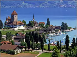 Szwajcaria, Zamek, Jezioro, Spiez, Thun