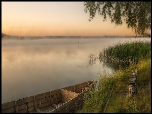 Jezioro, Szuwary, Łódz, Mgła