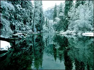 Jezioro, Odbicie, Drzewa, Śnieg