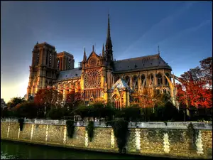 Katedra, Notre Dame