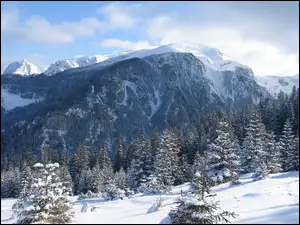 Chmury, Drzewa, Śnieg, Zima, Góry