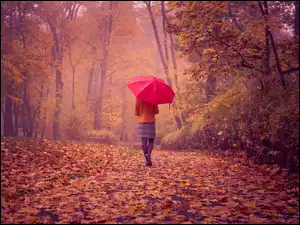 Park, Jesień, Kobieta, Liście