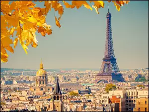 Jesień, Wieża, Paryż, Eiffla, Panorama