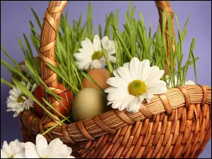 Wielkanoc, Margerytki, Koszyk, Jajka