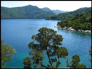 Jezioro, Chorwacja, Góry, Lasy