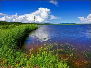 Chmury, Jezioro, Łąka