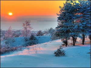 Zachód Słońca, Zima, Drzewa