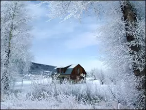 Dom, Zima, Śnieg, Drzewa, Drewniany