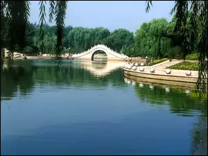 Park, Chiny, Jezioro, Dragon