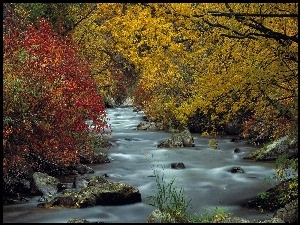 Jesień, Drzewa, Rzeka, Kamienie