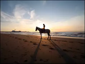 Dziewczyna, Morze, Plaża, Koń