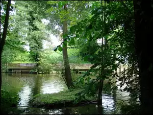 Mostek, Rzeka, Drzewa